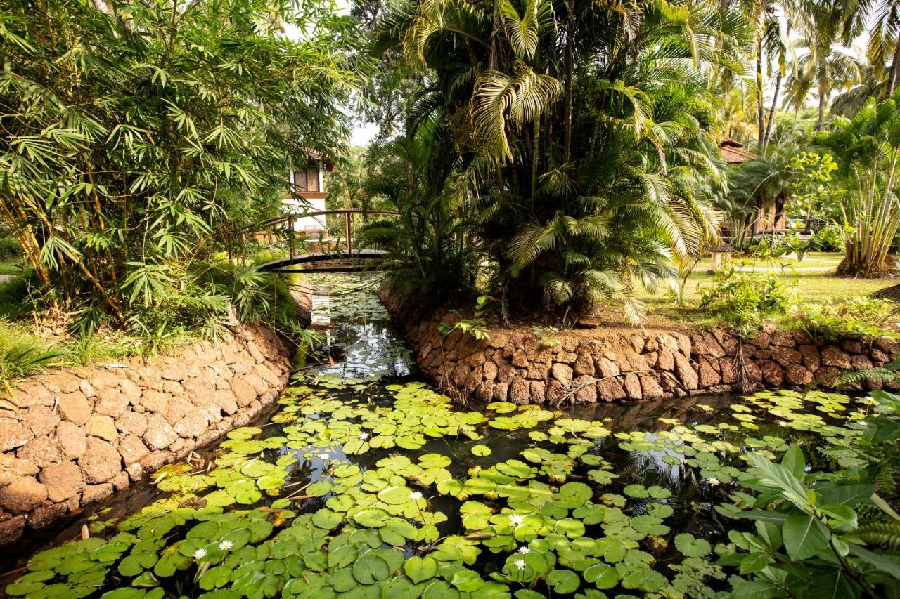 Coconut Creek Resort - Dabolim Airport Mormugao Kültér fotó